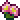 Pink Prickly Pear in Terraria