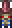 Tim Banner in Terraria