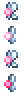 Pink Fairy in Terraria