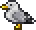 Seagull in Terraria