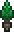 Potted Forest Cedar in Terraria