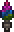 Potted Hallow Cedar in Terraria