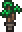 Potted Forest Palm in Terraria
