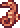 Seahorse in Terraria