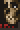 Wicked Undead in Terraria