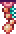 Reef Lantern in Terraria