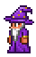 Wizard in Terraria