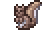 Squirrel in Terraria