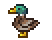 Duck in Terraria