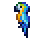 Blue Macaw in Terraria